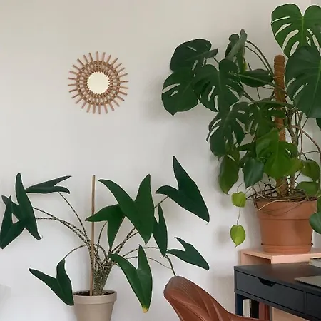 20e, 70m2 Calme Et Lumineux Avec 2 Balcons *